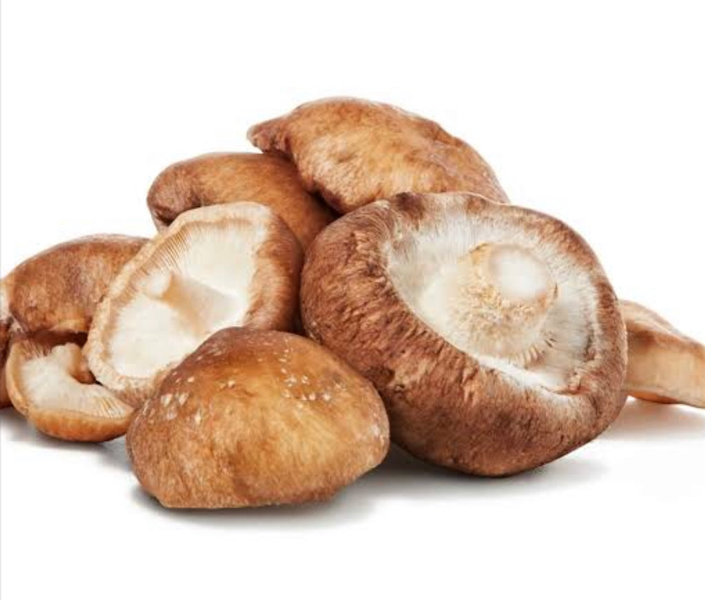 Mushroom Shitake Pack