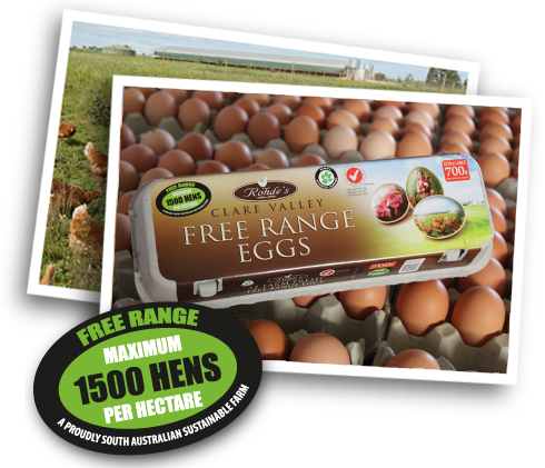 Rohdes Eggs 700g Dozen