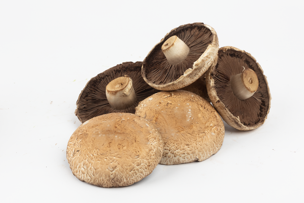 Mushroom Swiss Brown 200g (approx 3)