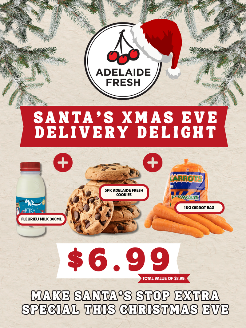 Santa’s Xmas Eve Delivery Delight