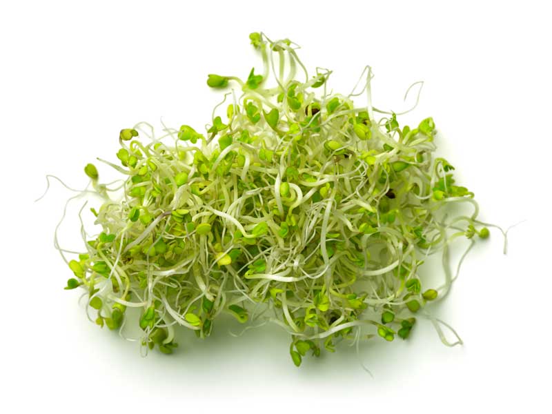 Broccoli Sprout Pack 75g