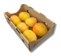 Mango Tray (6 piece)