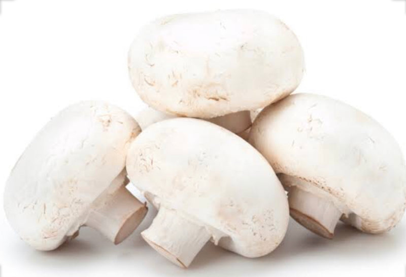 SA White Cup Mushroom Pack 200g