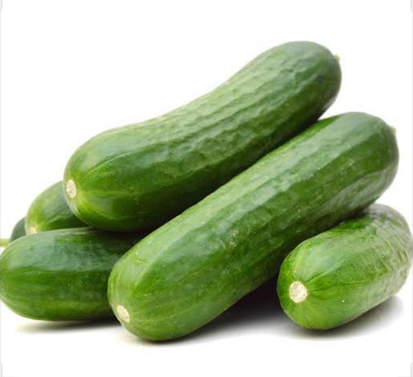 Cucumber Lebanese Each – Adelaide Fresh Fruiterers Morphett Vale