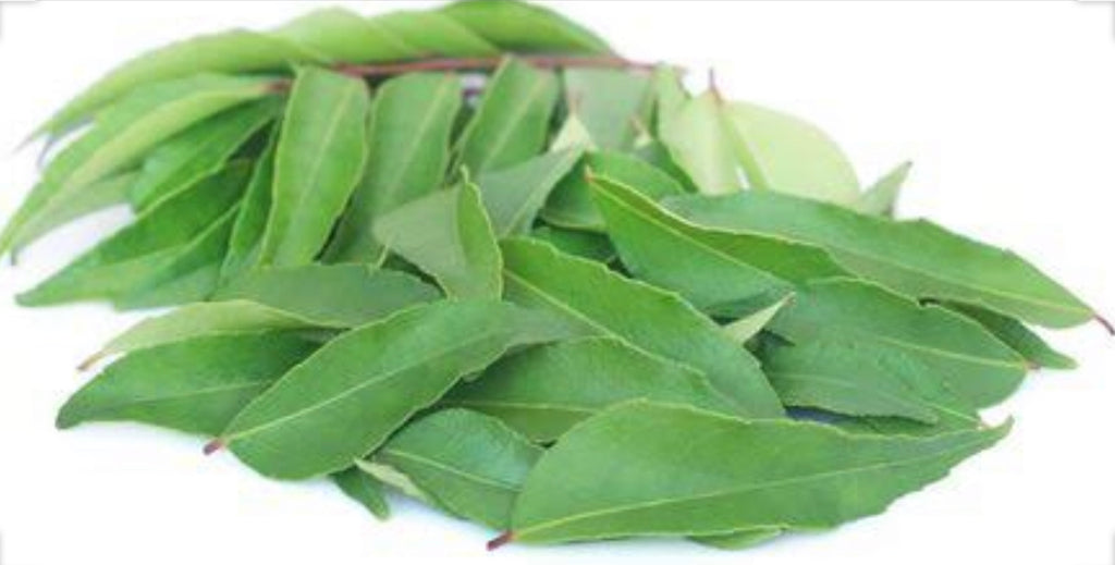 Curry Leaves Pack