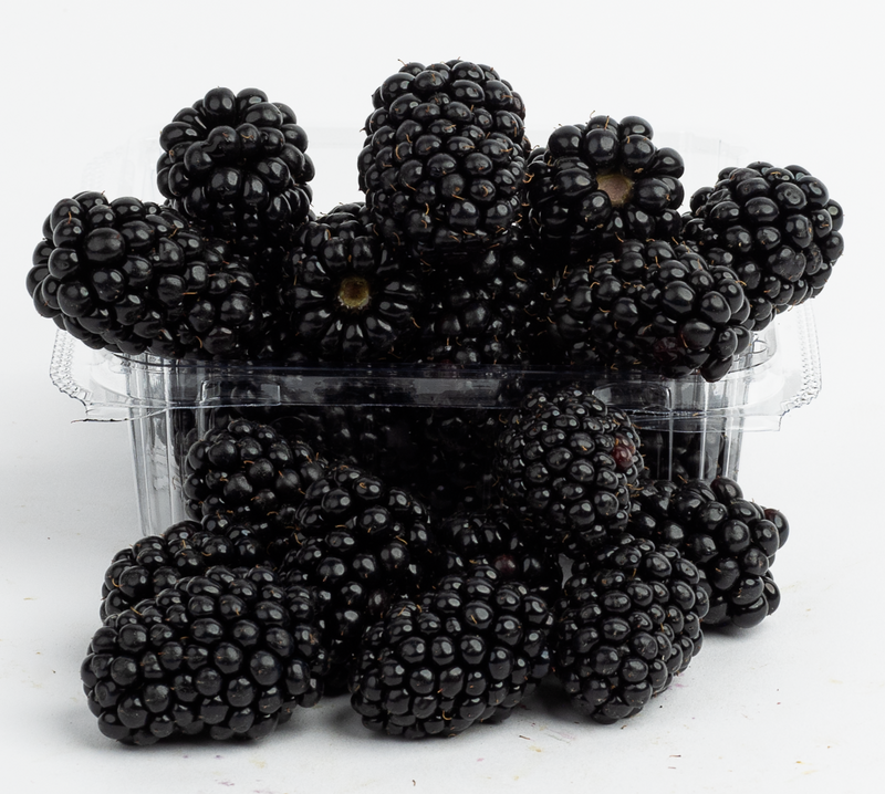 Blackberries Punnet