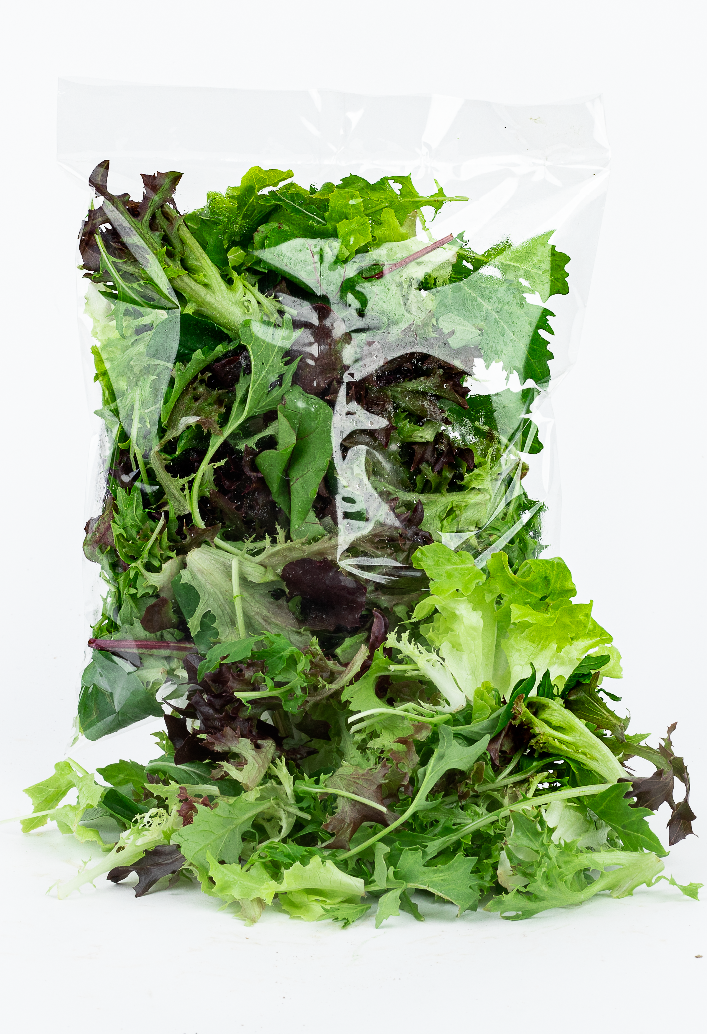 Bagged salad mix 2025