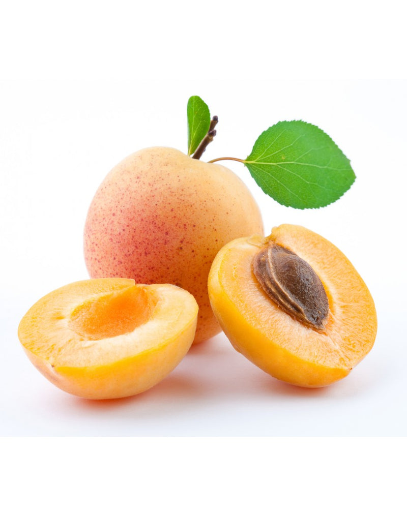 Apricot's Ea