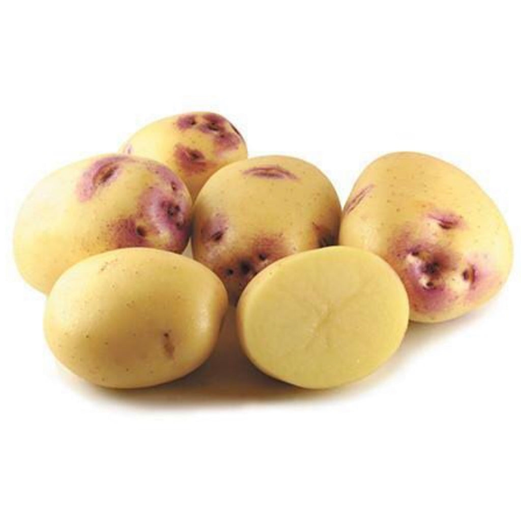 Potato Kestrel 500g (approx 4)