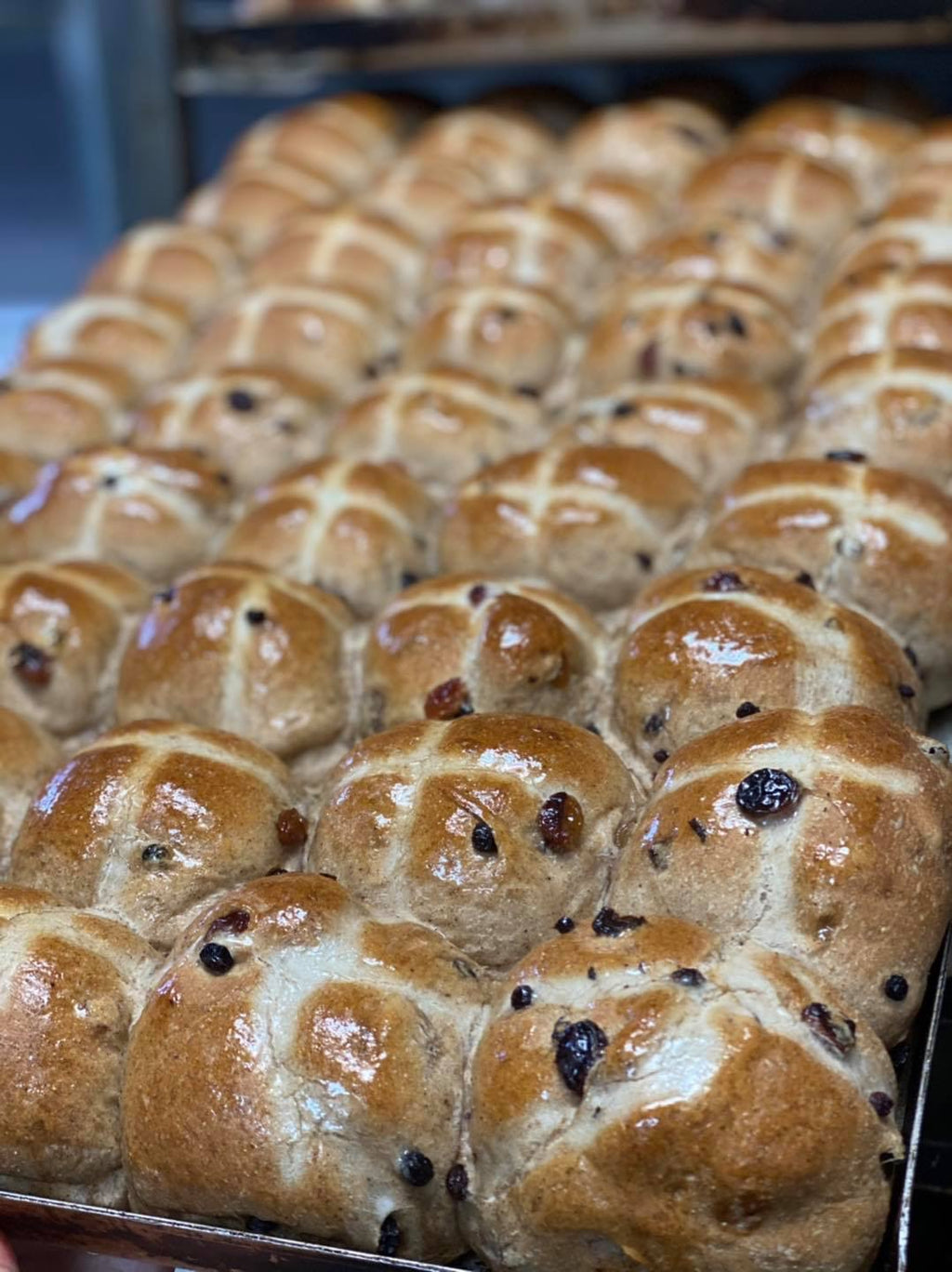 Hot Cross Buns 6 pack (Traditional)