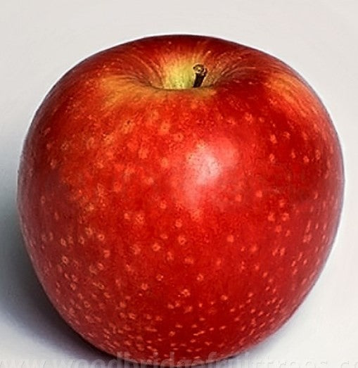 Sundowner Apple 500g