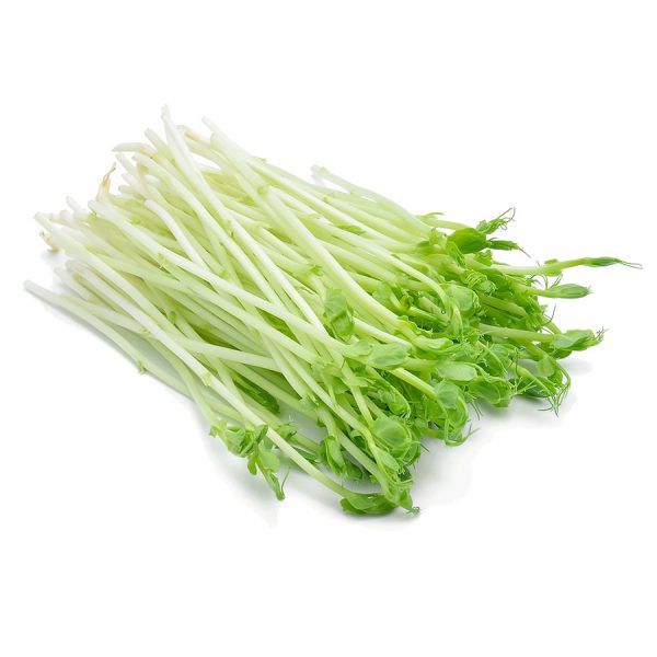 Snow Pea Sprouts Pack